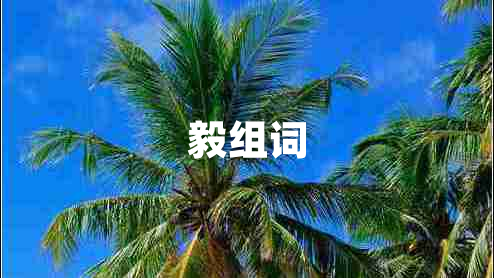毅组词