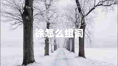 徐怎么组词