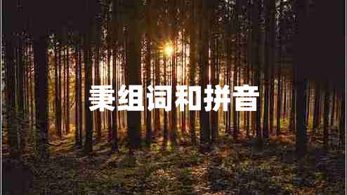 秉组词和拼音