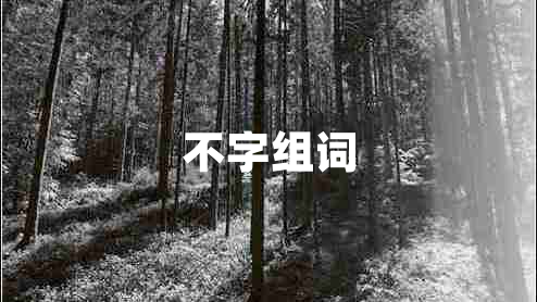 不字组词