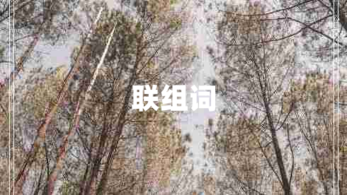 联组词