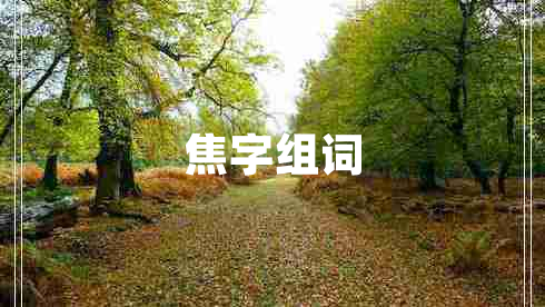 焦字组词