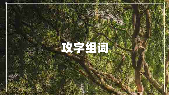 攻字组词