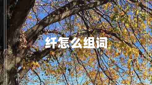 纤怎么组词