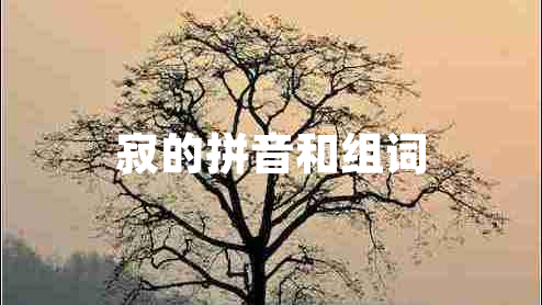寂的拼音和组词