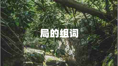 局的组词