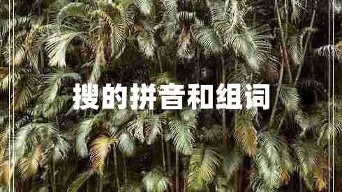 搜的拼音和组词