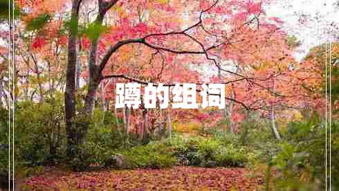 蹲的组词