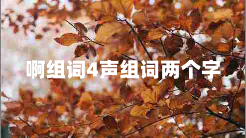 啊组词4声组词两个字