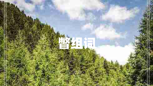 瞥组词