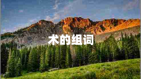 术的组词
