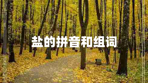 盐的拼音和组词