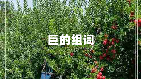 巨的组词