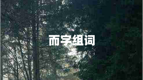 而字组词
