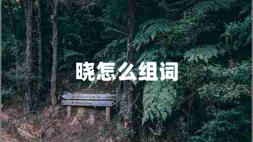 晓怎么组词
