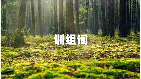 训组词