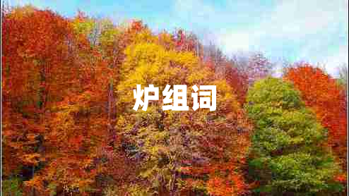 炉组词