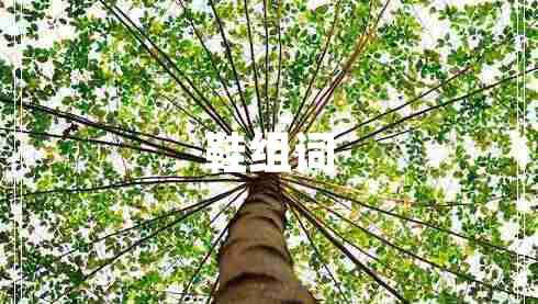 鞋组词