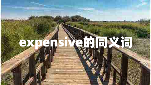 expensive的同义词