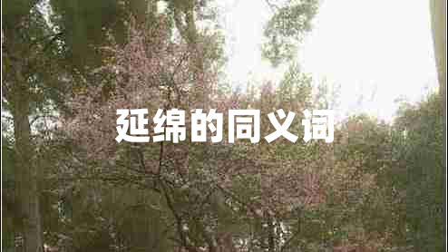 延绵的同义词