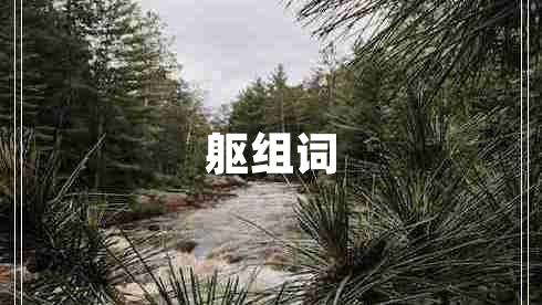 躯组词
