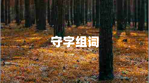 守字组词