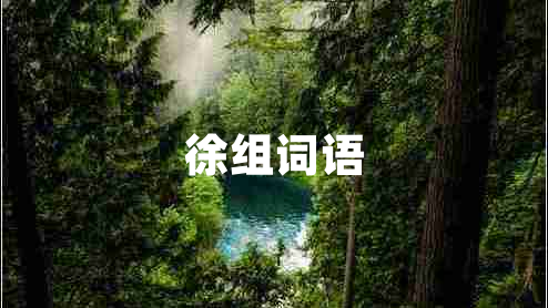 徐组词语