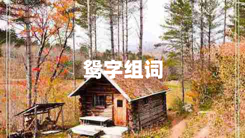 鸳字组词