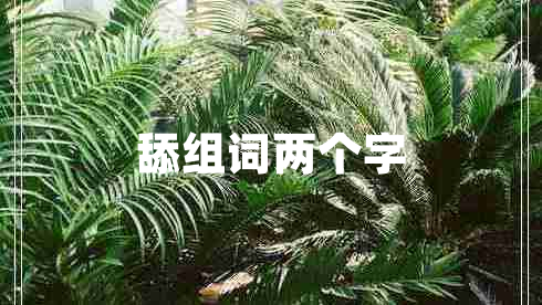 舔组词两个字