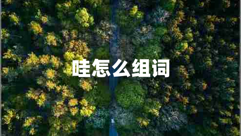 哇怎么组词