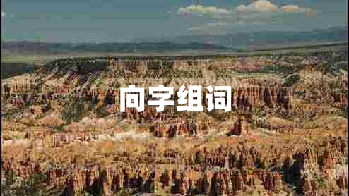 向字组词