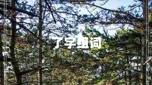 了字组词