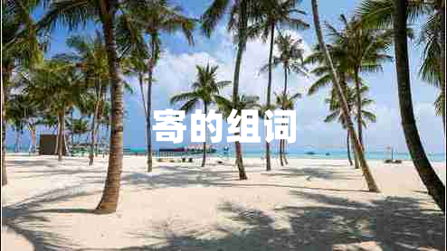 寄的组词