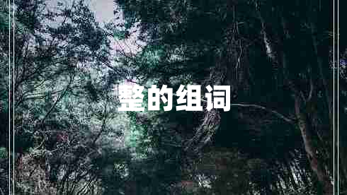 整的组词