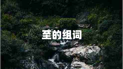 至的组词
