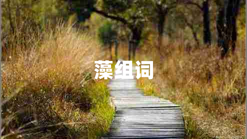 藻组词 藻组词
