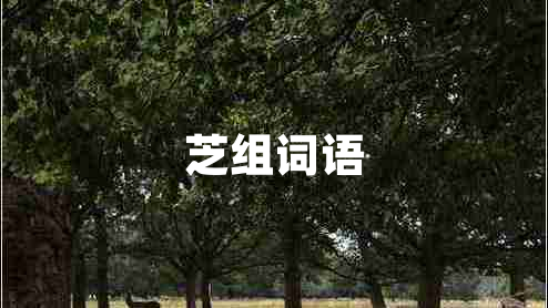 芝组词语