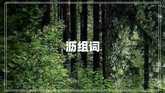 沥组词