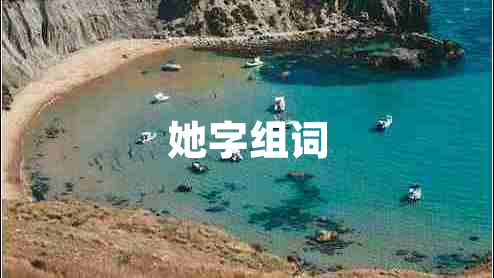 她字组词