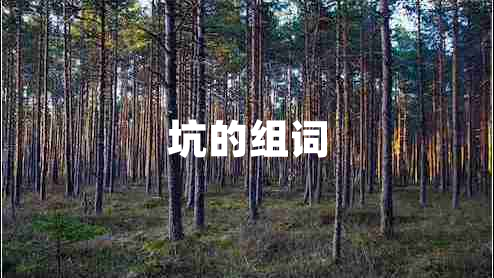 坑的组词