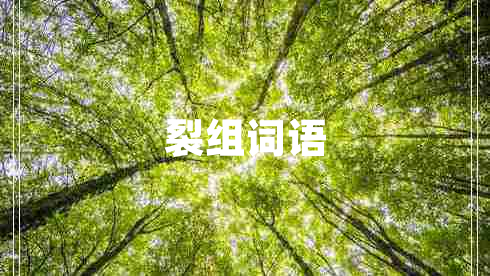 裂组词语