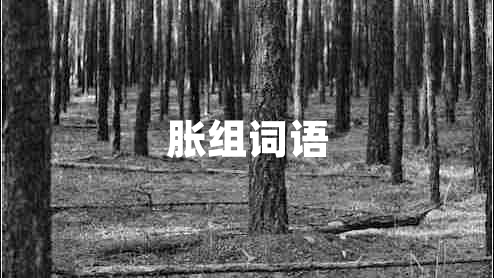 胀组词语