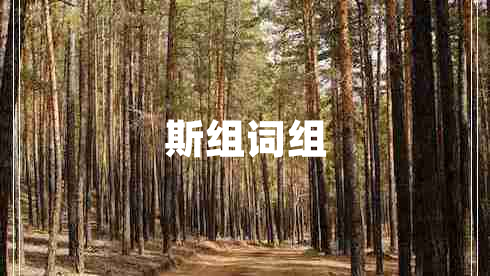 斯组词组