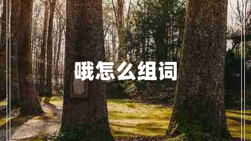 哦怎么组词