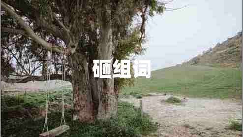 砸组词
