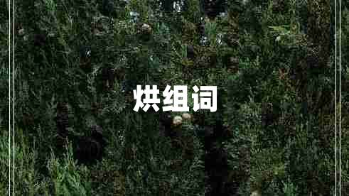 烘组词