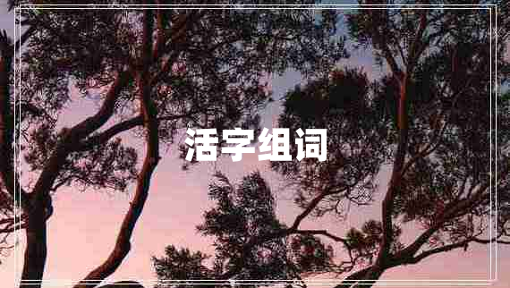 活字组词