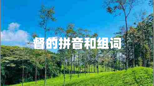 督的拼音和组词