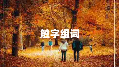 触字组词