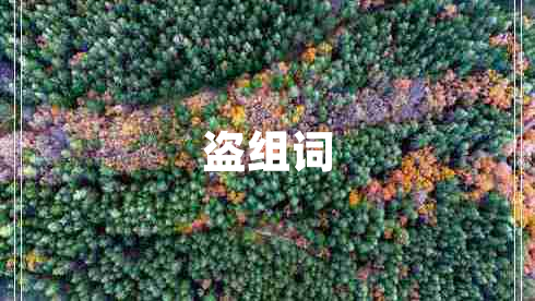 盗组词